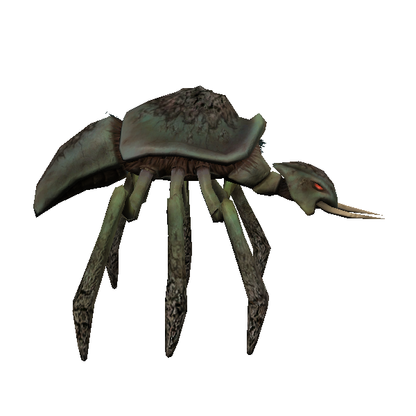 kubaza beetle soldier