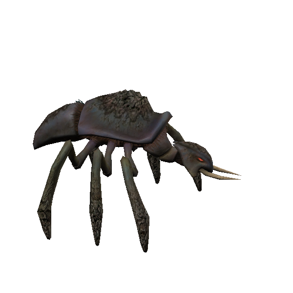 kubaza beetle worker