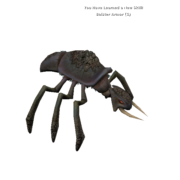 kubaza beetle