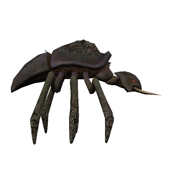 kubaza worker beetle