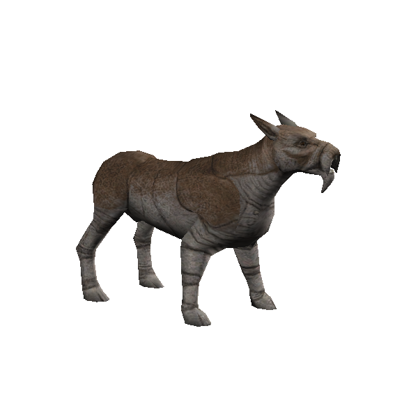 kusak pup