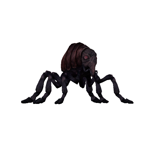 lava flea queen