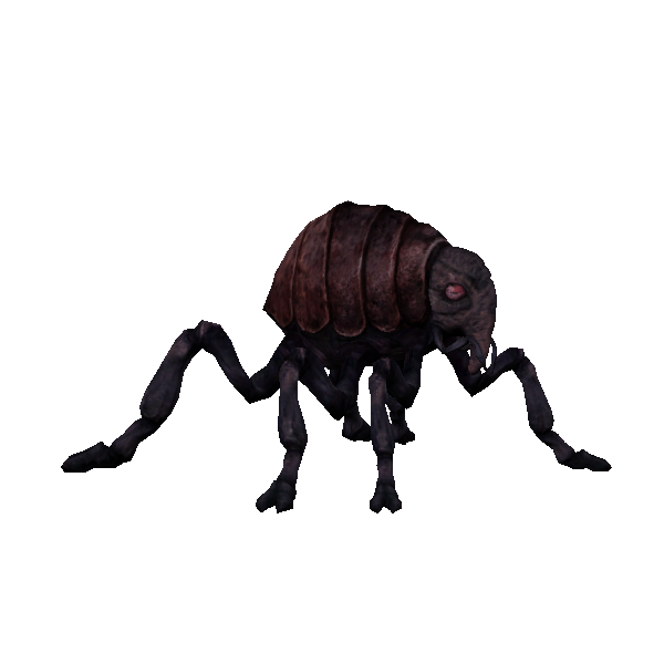 lava flea strider
