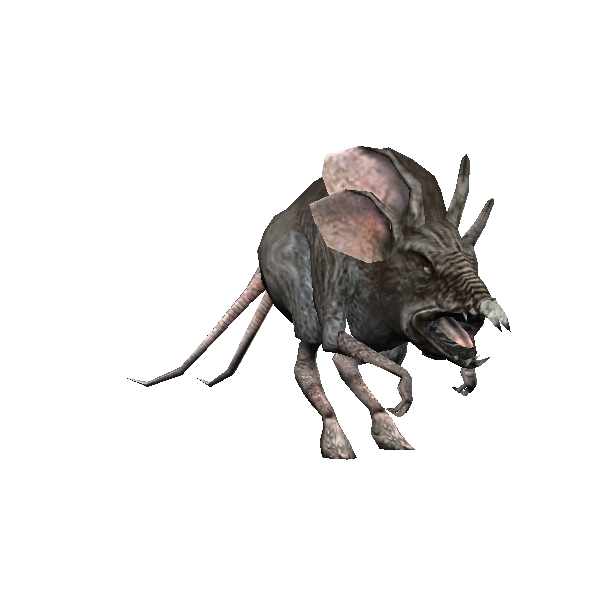 lesser desert womp rat