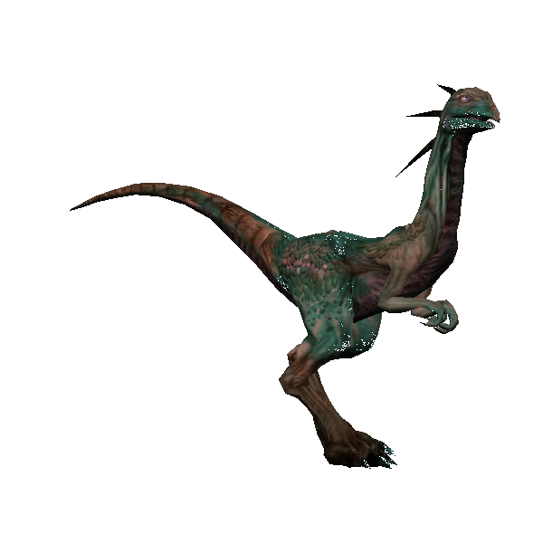 lowland blistmok raptor
