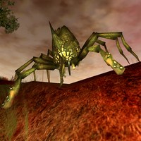 lurking shear mite