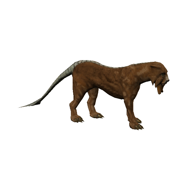 male plains tusk-cat