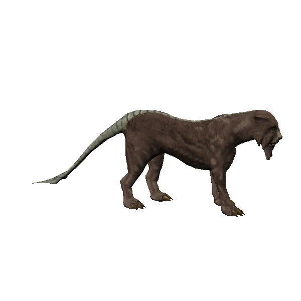 male swamp tusk-cat