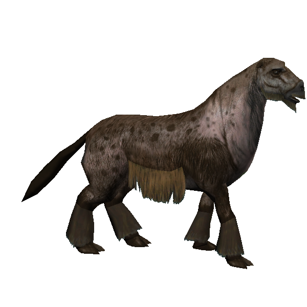 male tybis