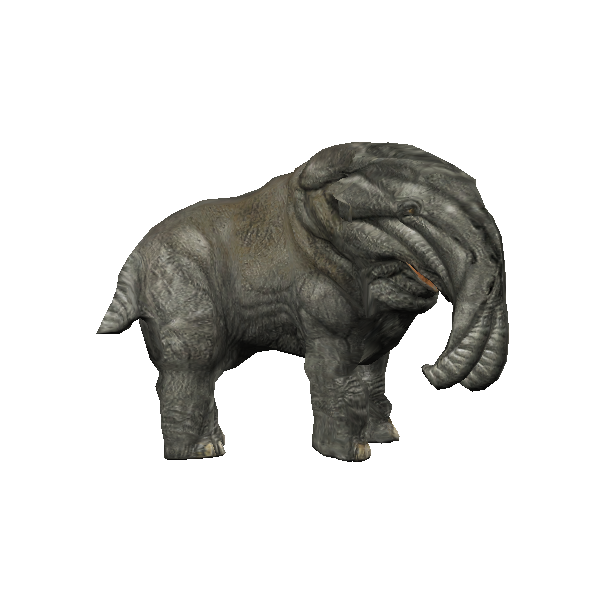 mature snorbal female