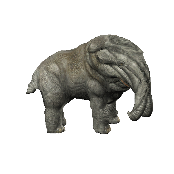 mature snorbal male