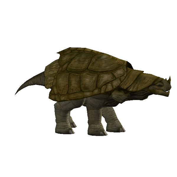 meager tortur