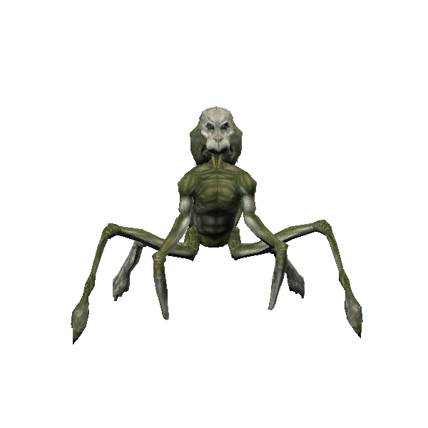 merek assassin