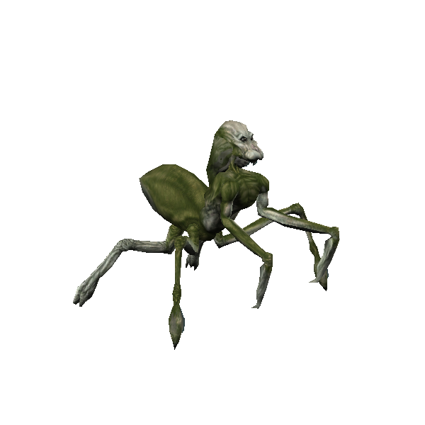 merek cavern creeper