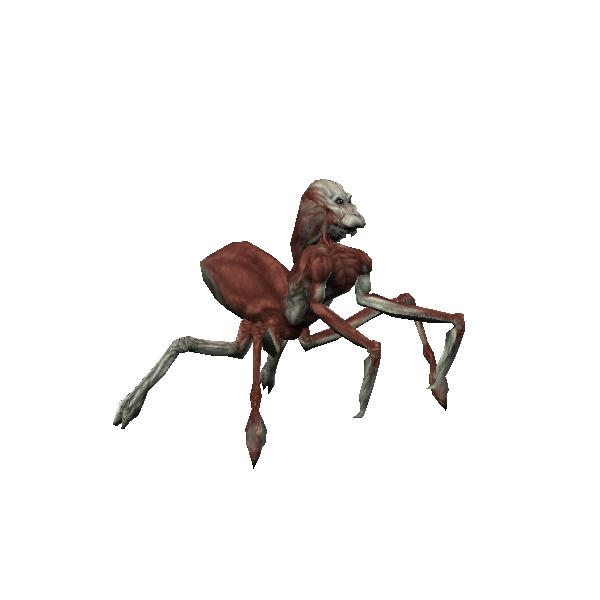 merek deaths head
