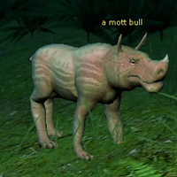 mott bull