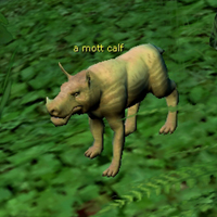 mott calf