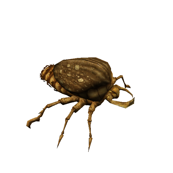 mound mite