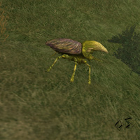 mountain krevol