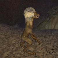 mountain squill hunter