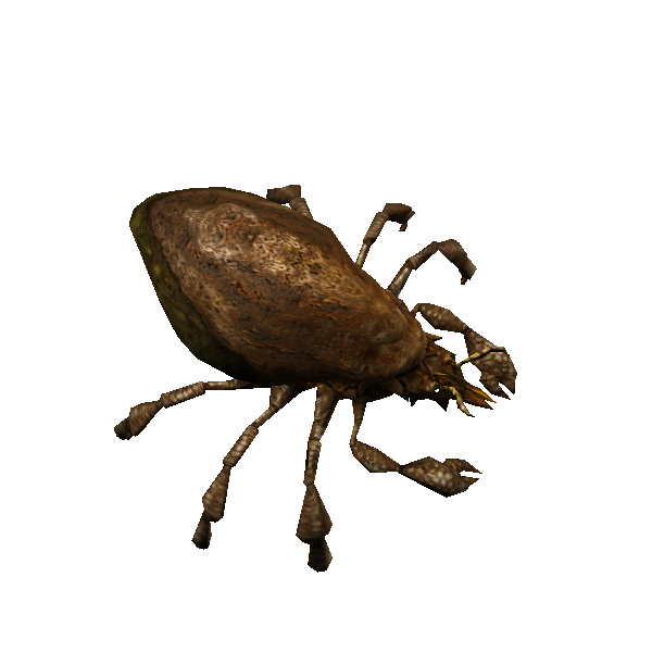 mutant bark mite hatchling