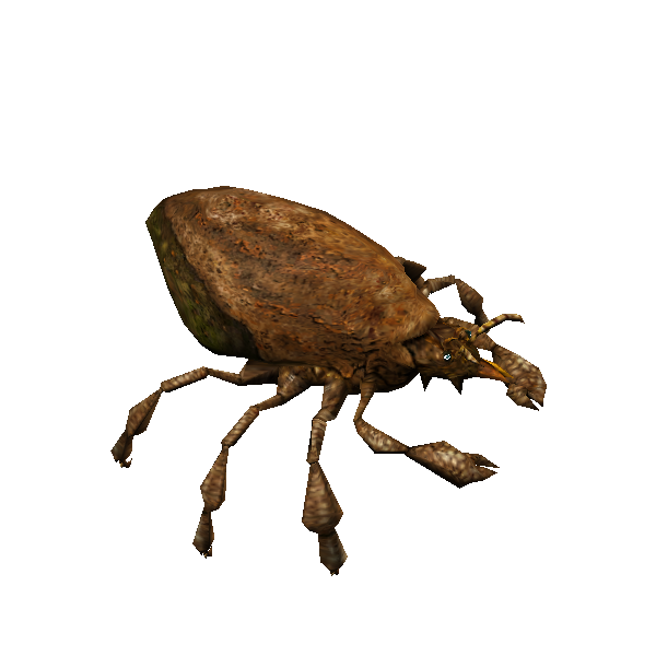 mutant bark mite queen