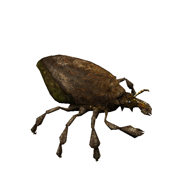 mutant bark mite soldier