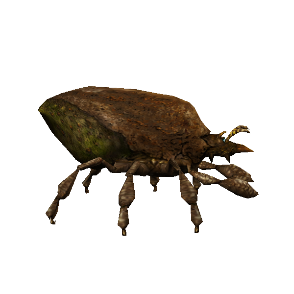 mutant bark mite worker