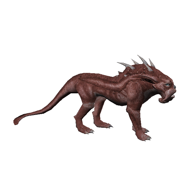 narglatch matriarch