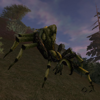 nightspider aggressor