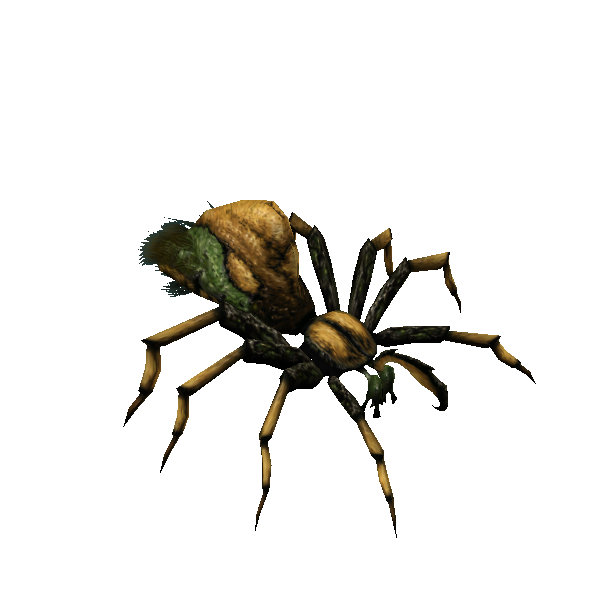 nightspider bloodsipper