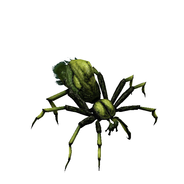 nightspider dirtcrawler