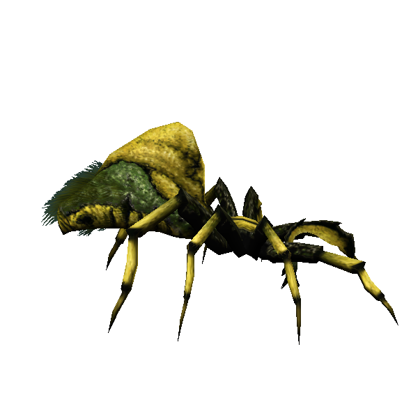nightspider vinecrawler