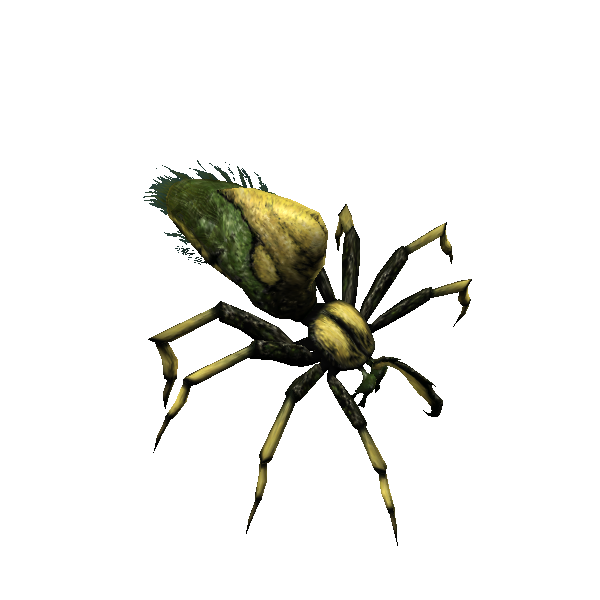 nightspider