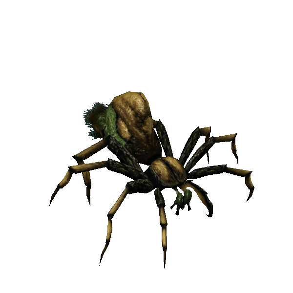nocturlan (a nightspider)