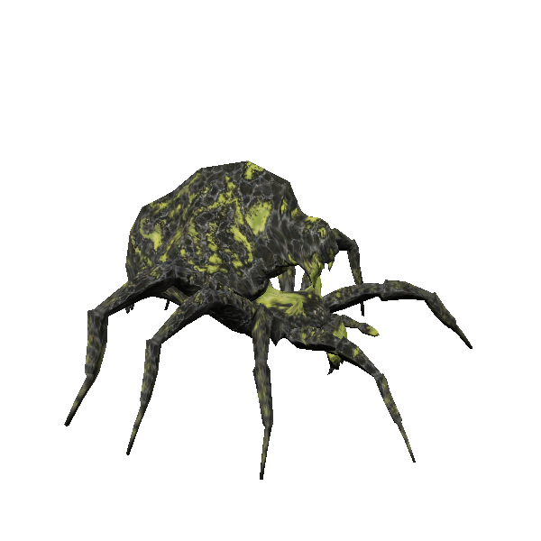noxious gaping spider recluse