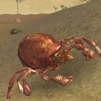 oozing dung mite guardian