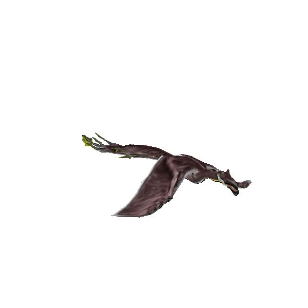 peko peko albatross