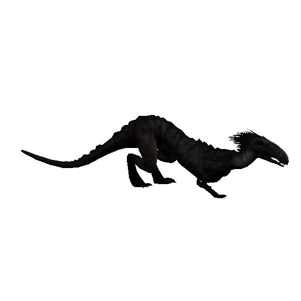 plains creeper