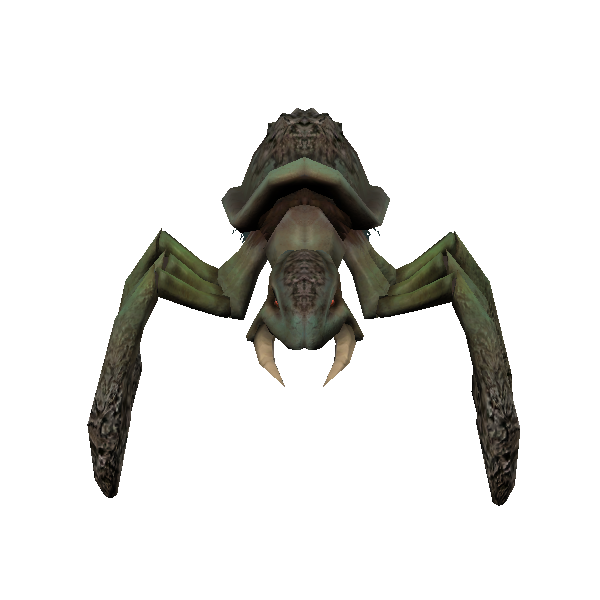 plains kubaza beetle soldier