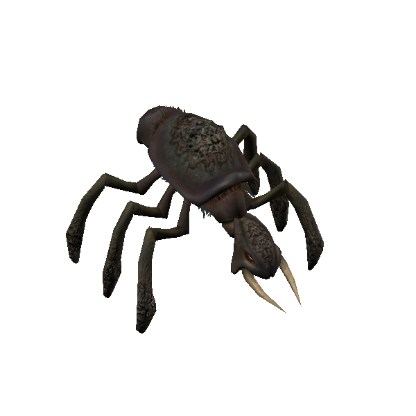 plains kubaza beetle worker