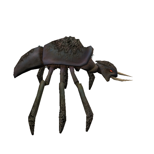 plains kubaza beetle