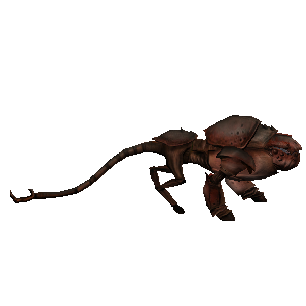 plains xandank