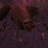 puss-covered decay mite soldier