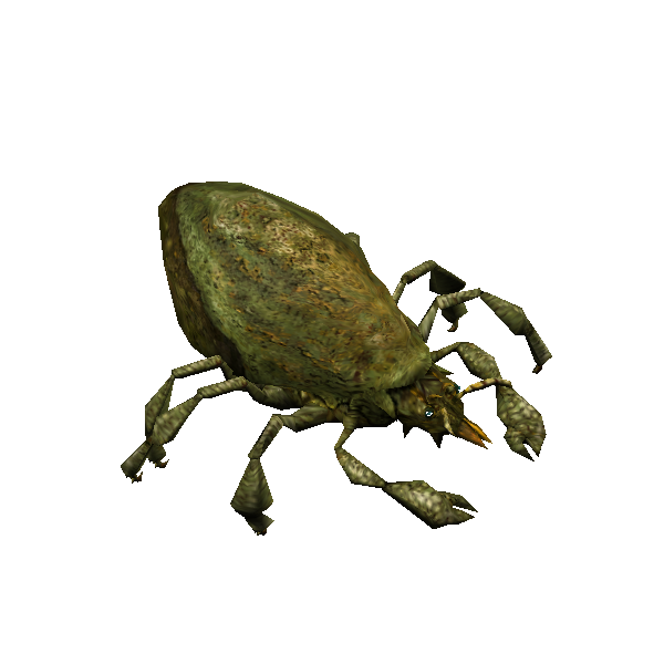 putrid decay mite hatchling