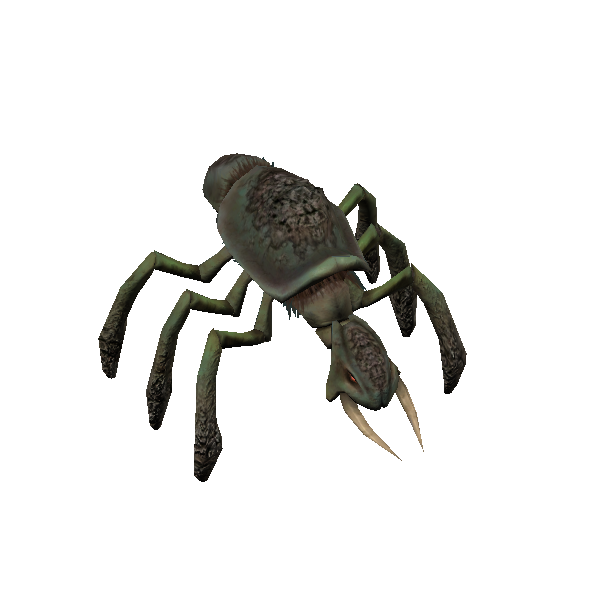 queen kubaza beetle