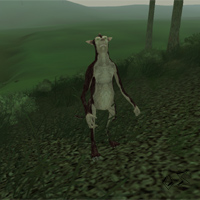 rabid shaupaut