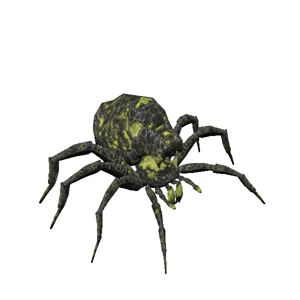 reclusive cavern spider