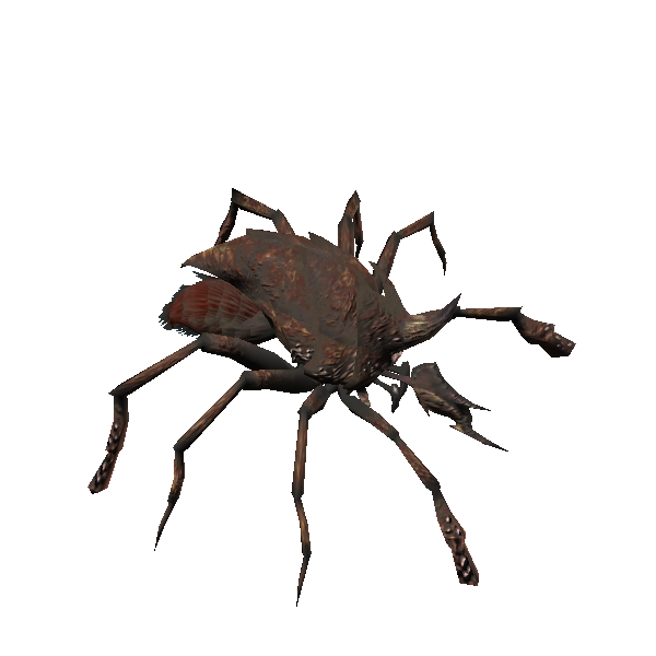 reclusive shear mite