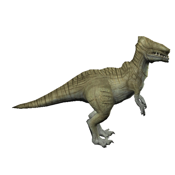 rhoa kwi guardian